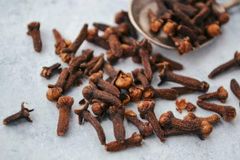 Premium Indonesian Cloves – Bulk Supply from Surabaya | FOB & CIF - Image 2